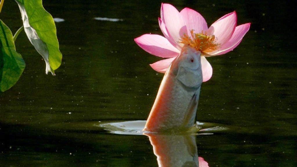 微信图片_2025-06-17_173734_986