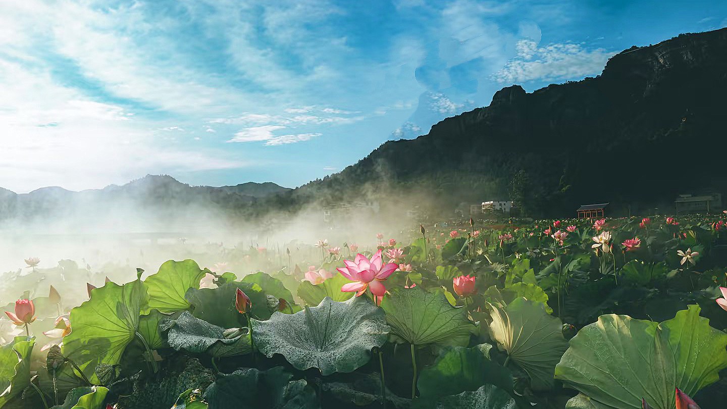 微信图片_2025-06-17_173742_873