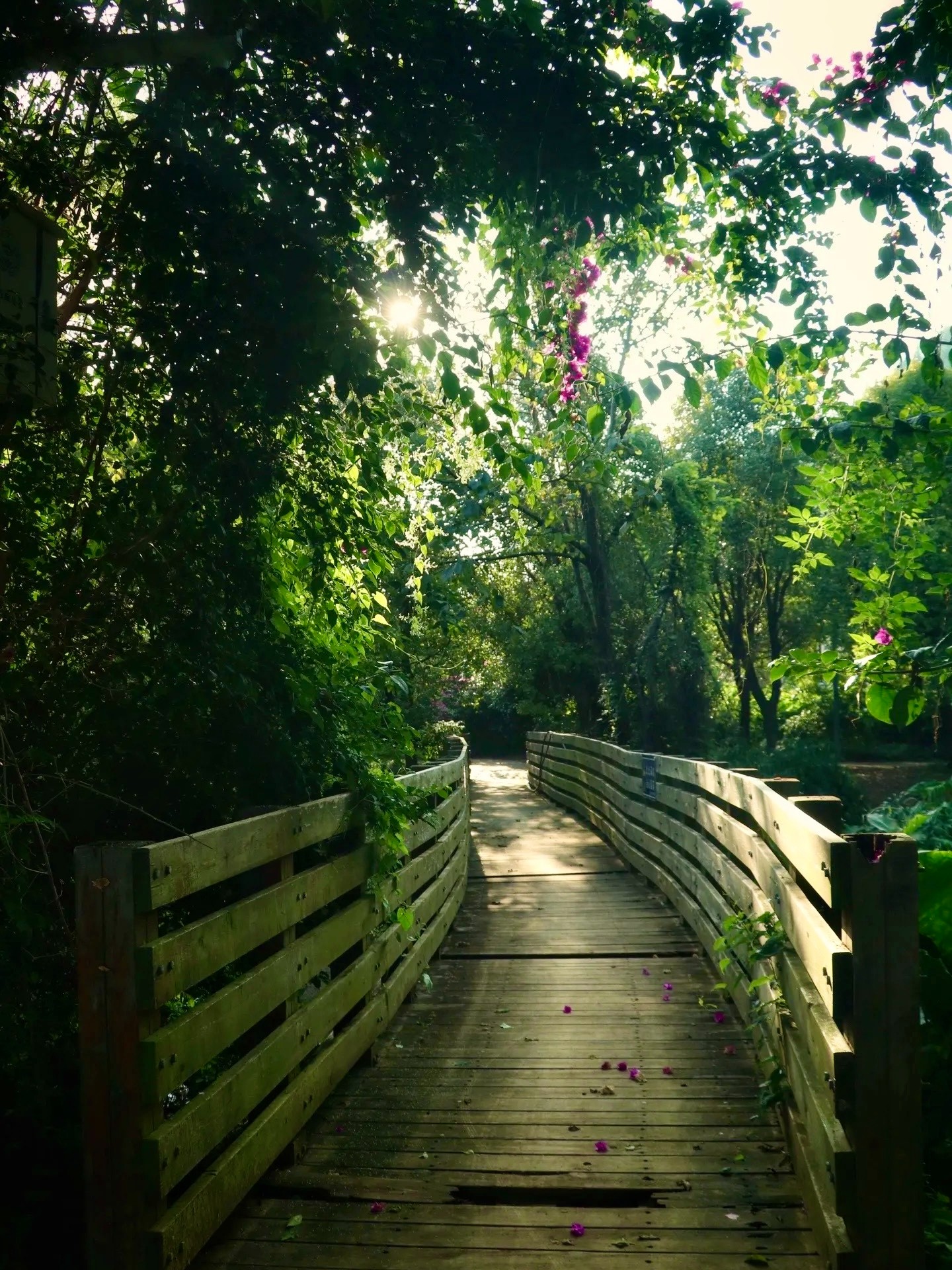 微信图片_20250728184326