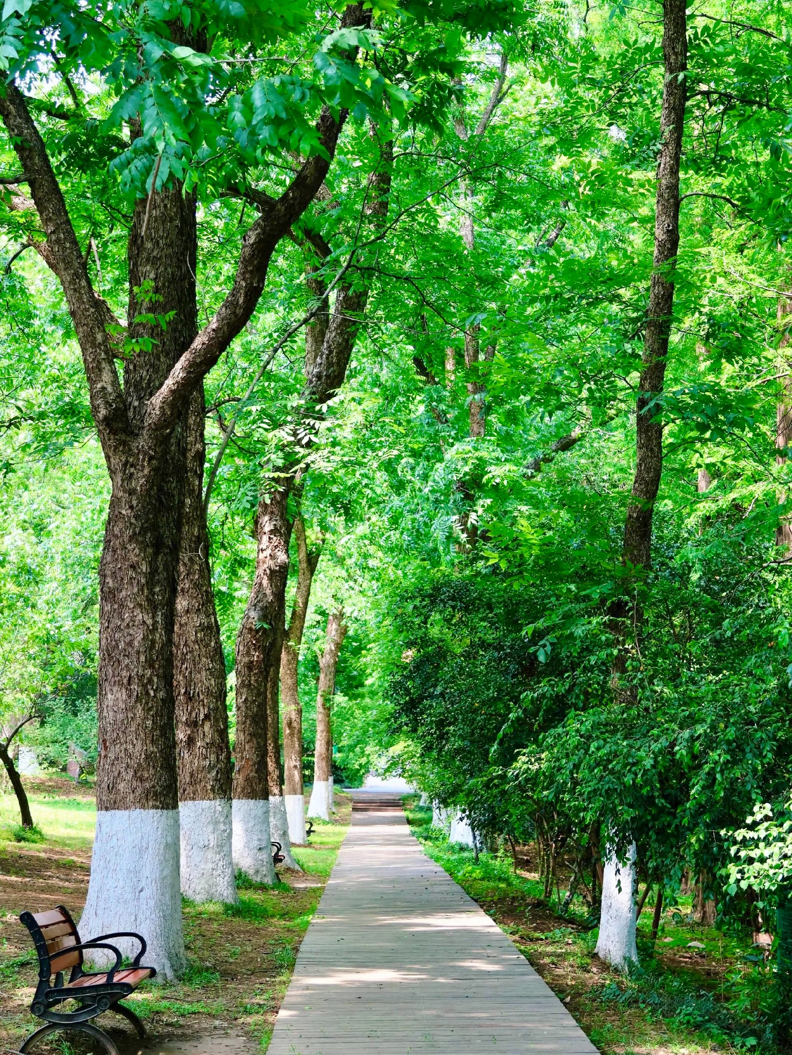 微信图片_20250728184336