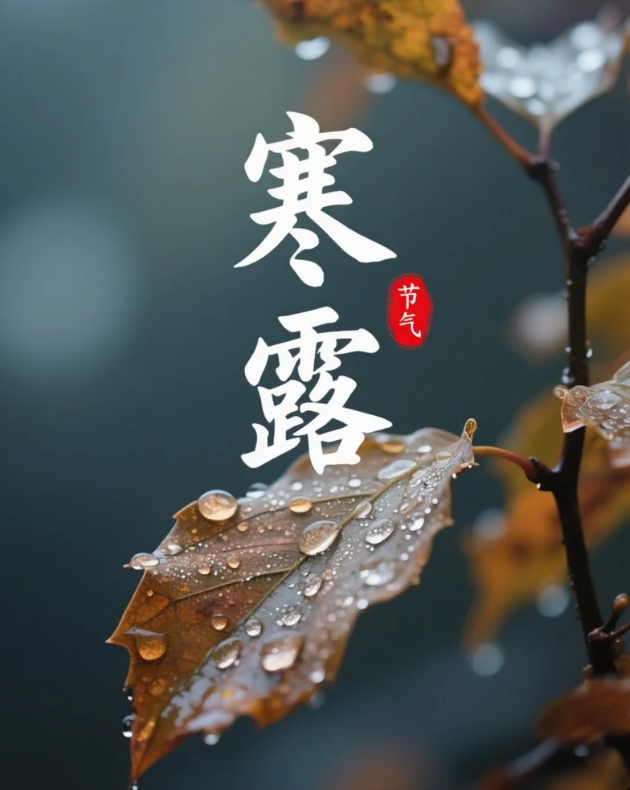 微信截图_20251008155916