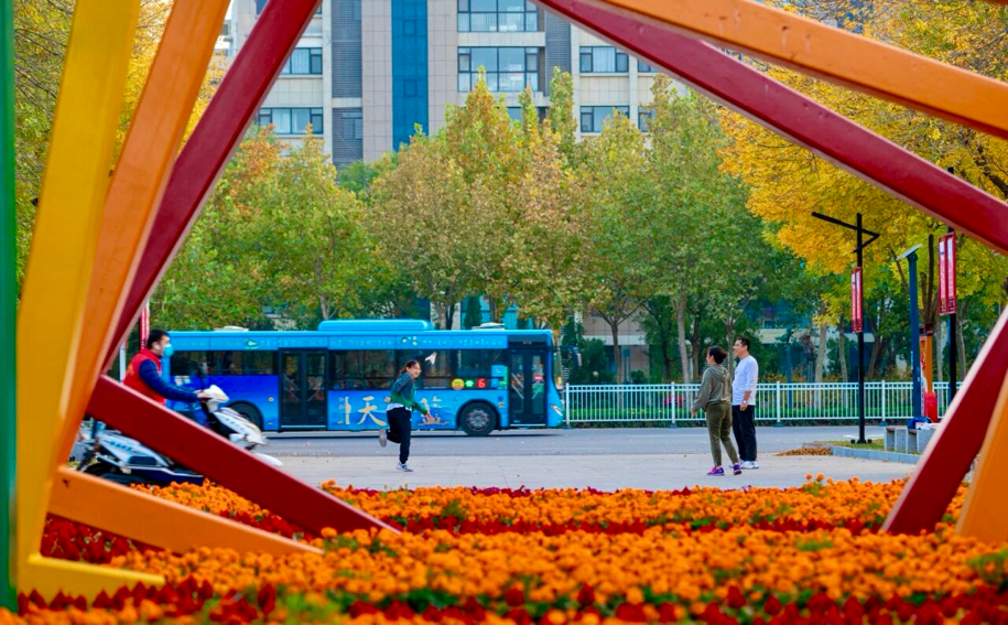图片3