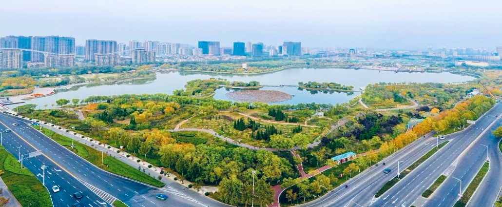图片4