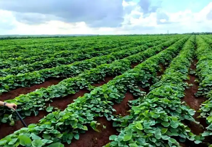 u=2840915745,3846593580&fm=253&fmt=auto&app=138&f=JPEG