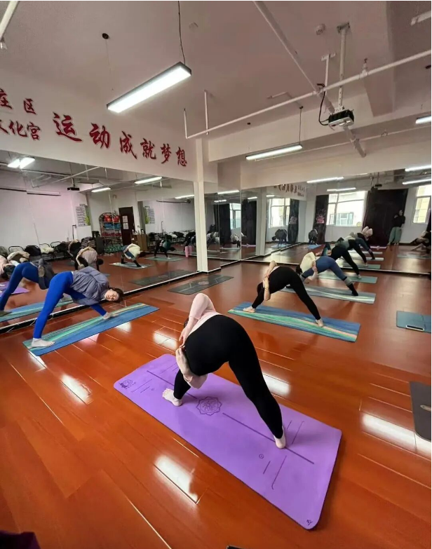 c4b9faba-6faf-4b0c-8d27-17373f464ff4