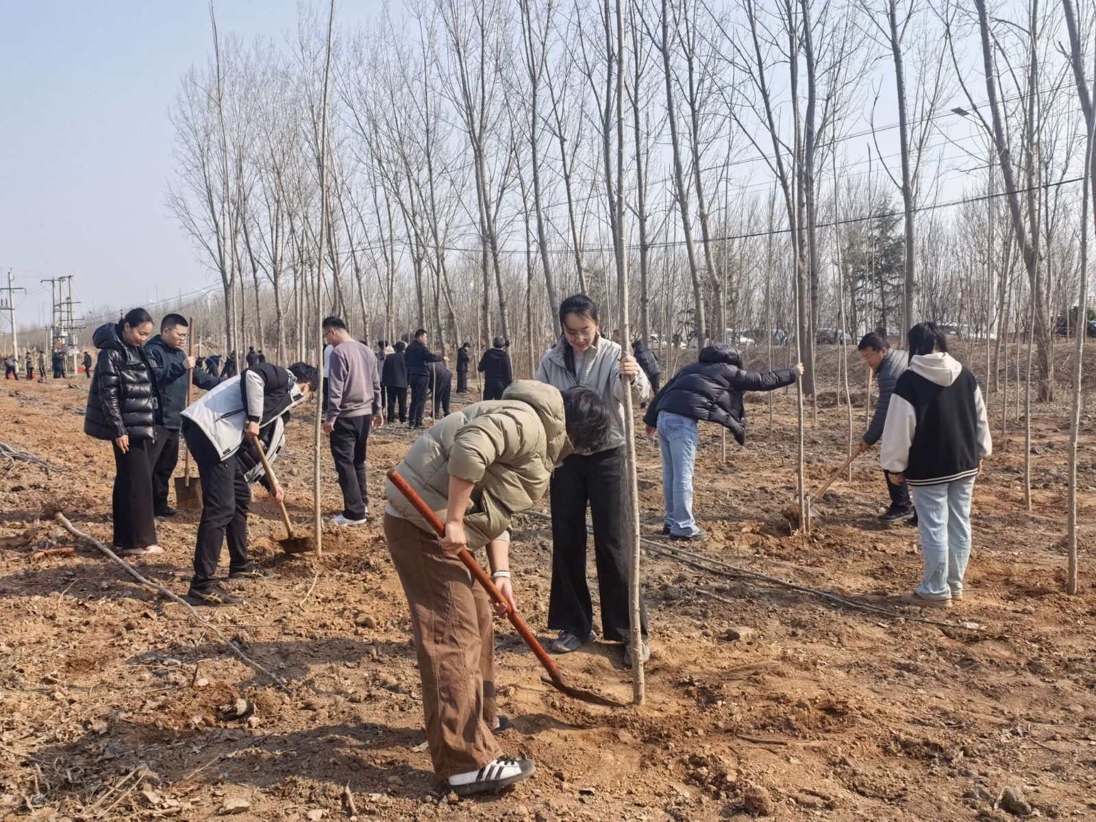 e54aff2a6715ddd806cef8477999bb6