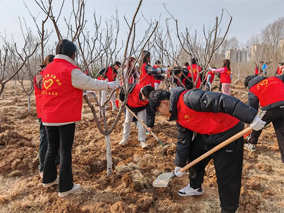 青年志愿者积极参与全区义务植树活动268