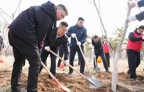 青年志愿者积极参与全区义务植树活动158