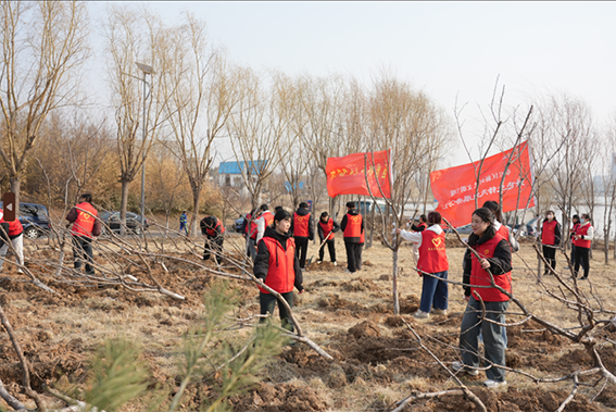 青年志愿者积极参与全区义务植树活动341