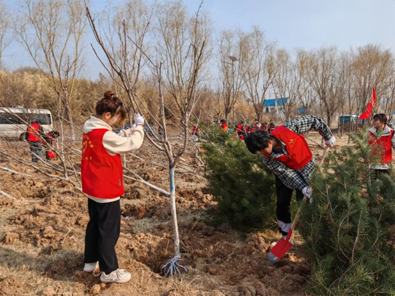 青年志愿者积极参与全区义务植树活动269