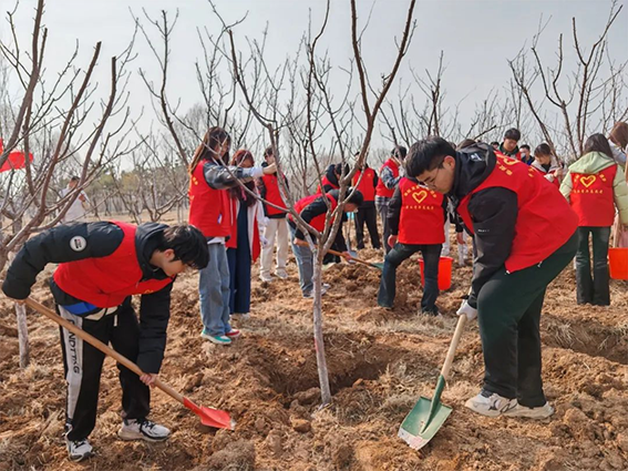 青年志愿者积极参与全区义务植树活动267
