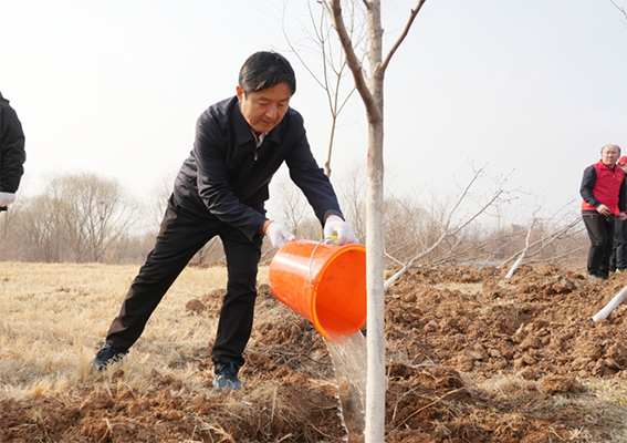 青年志愿者积极参与全区义务植树活动159