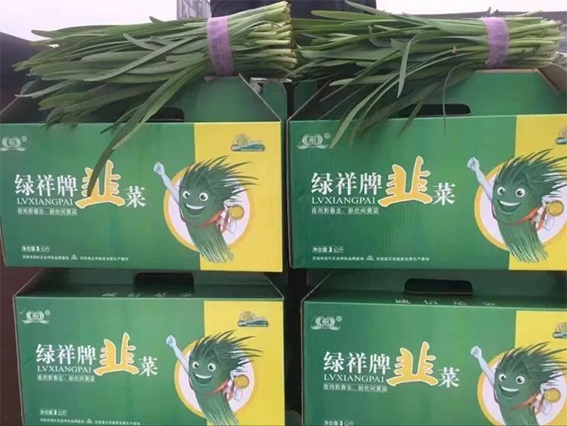 刁镇街道半程马拉松4月27日开跑1061
