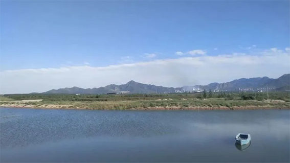 刁镇街道半程马拉松4月27日开跑1597