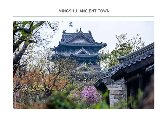 泉在明水2392