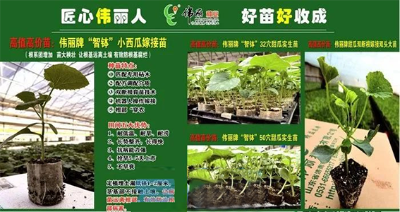 农业249