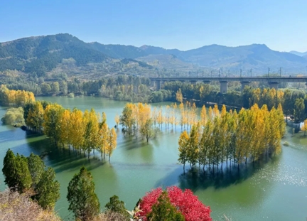 微信截图_20231209095440