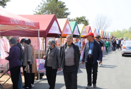 微信截图_20240416165310