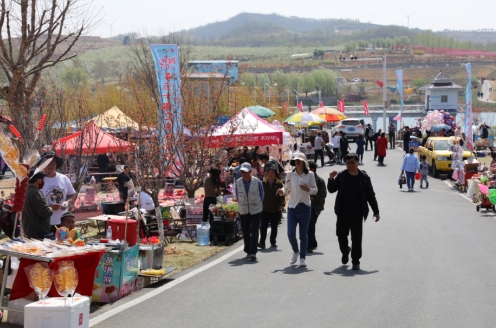 微信截图_20240416165258