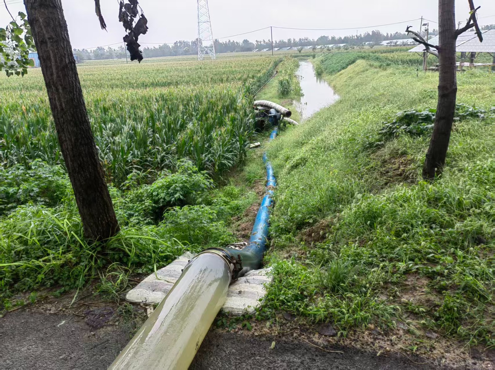 微信图片_20251009211025_24_70