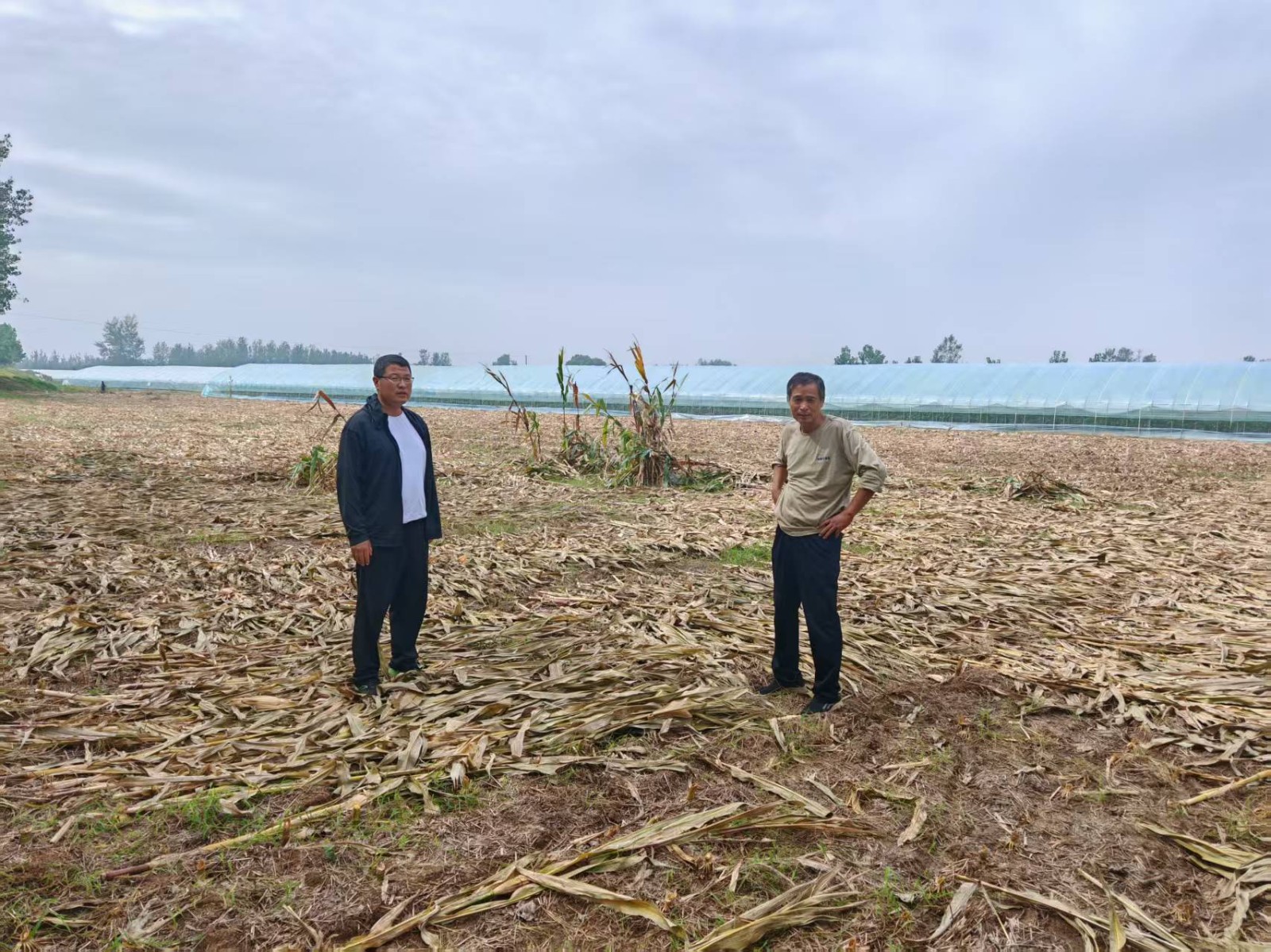 微信图片_20251009203709_463_32