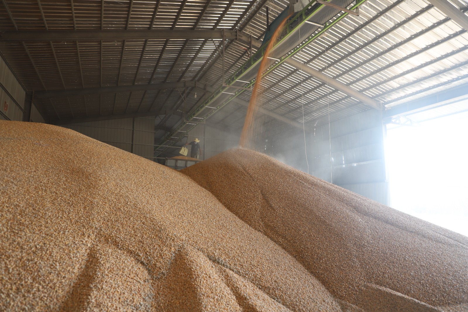 微信图片_20251009204530_471_32