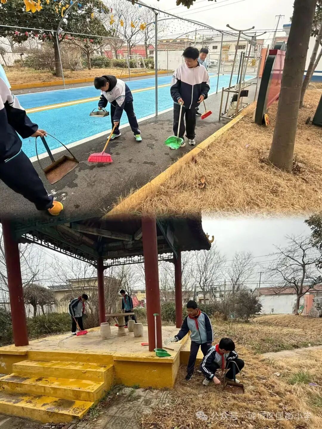 微信图片_2026-03-06_160120_937