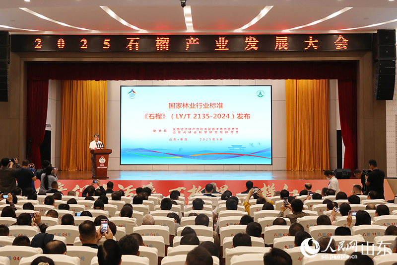 国家林业行业标准《石榴》发布。人民网记者 刘祺摄