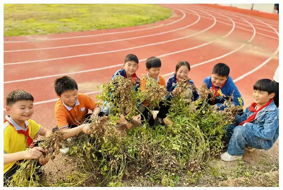 图片6.png