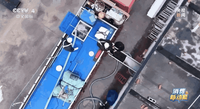 三文鱼的价格打下来了？追更《海洋牧场转场记》→