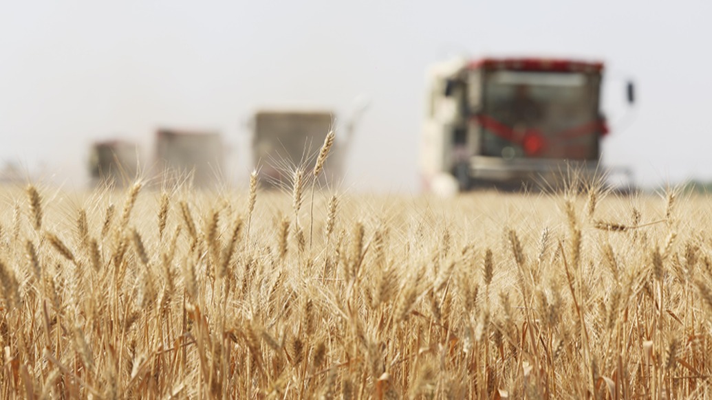 农业农村部报告：预测2026年我国粮食单产将提高到400千克每亩