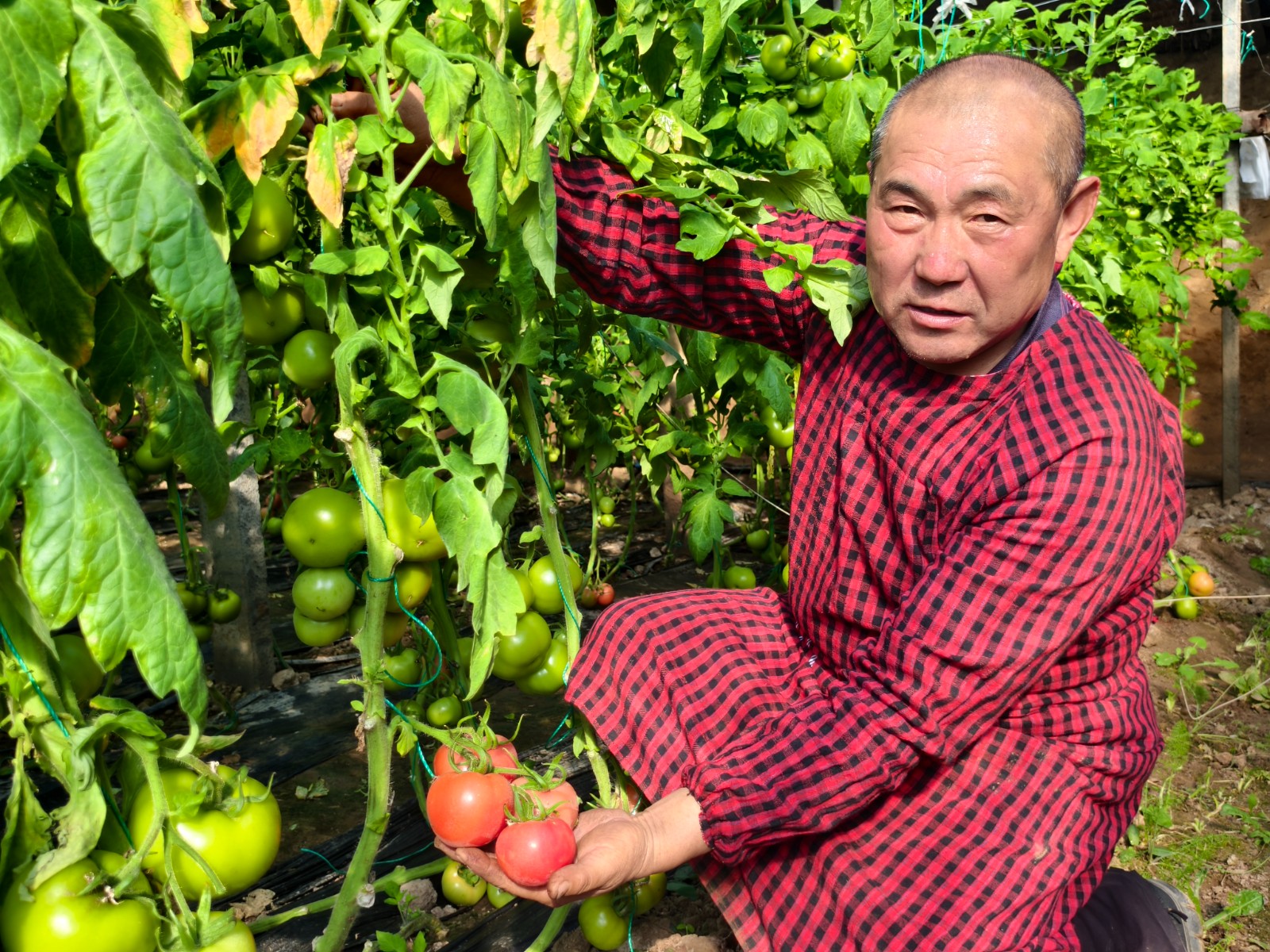 微信图片_20260203151956