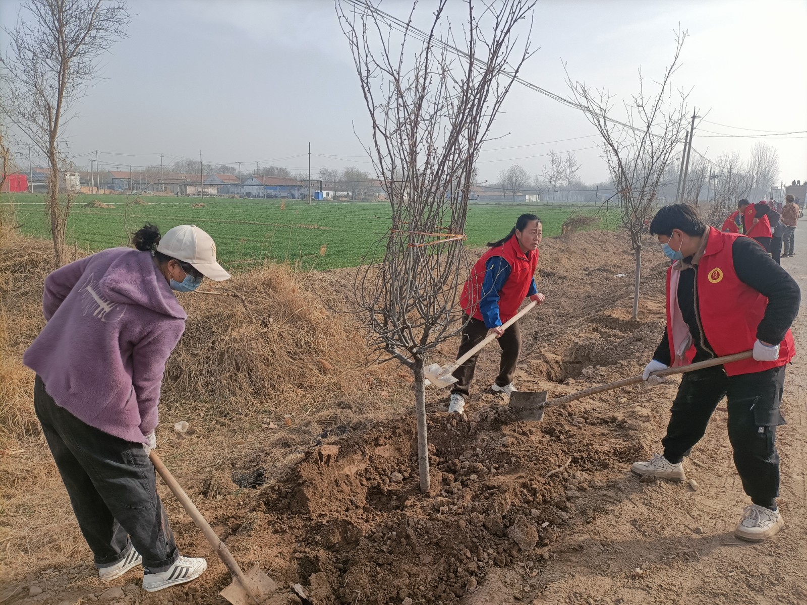 微信图片_20260312113346_3428_135