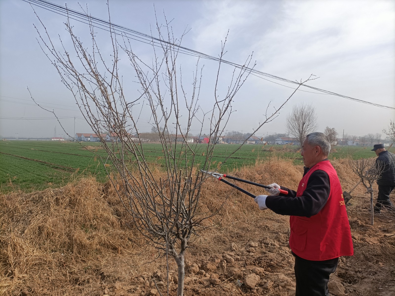 微信图片_20260312113344_3425_135