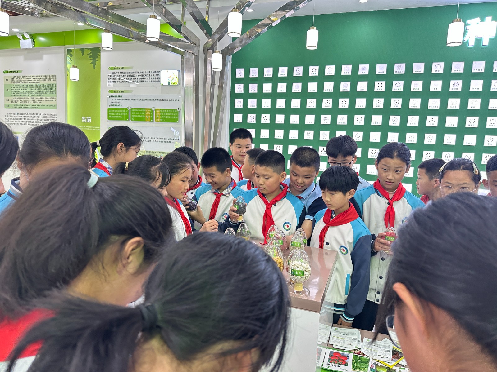 微信图片_20250526101205