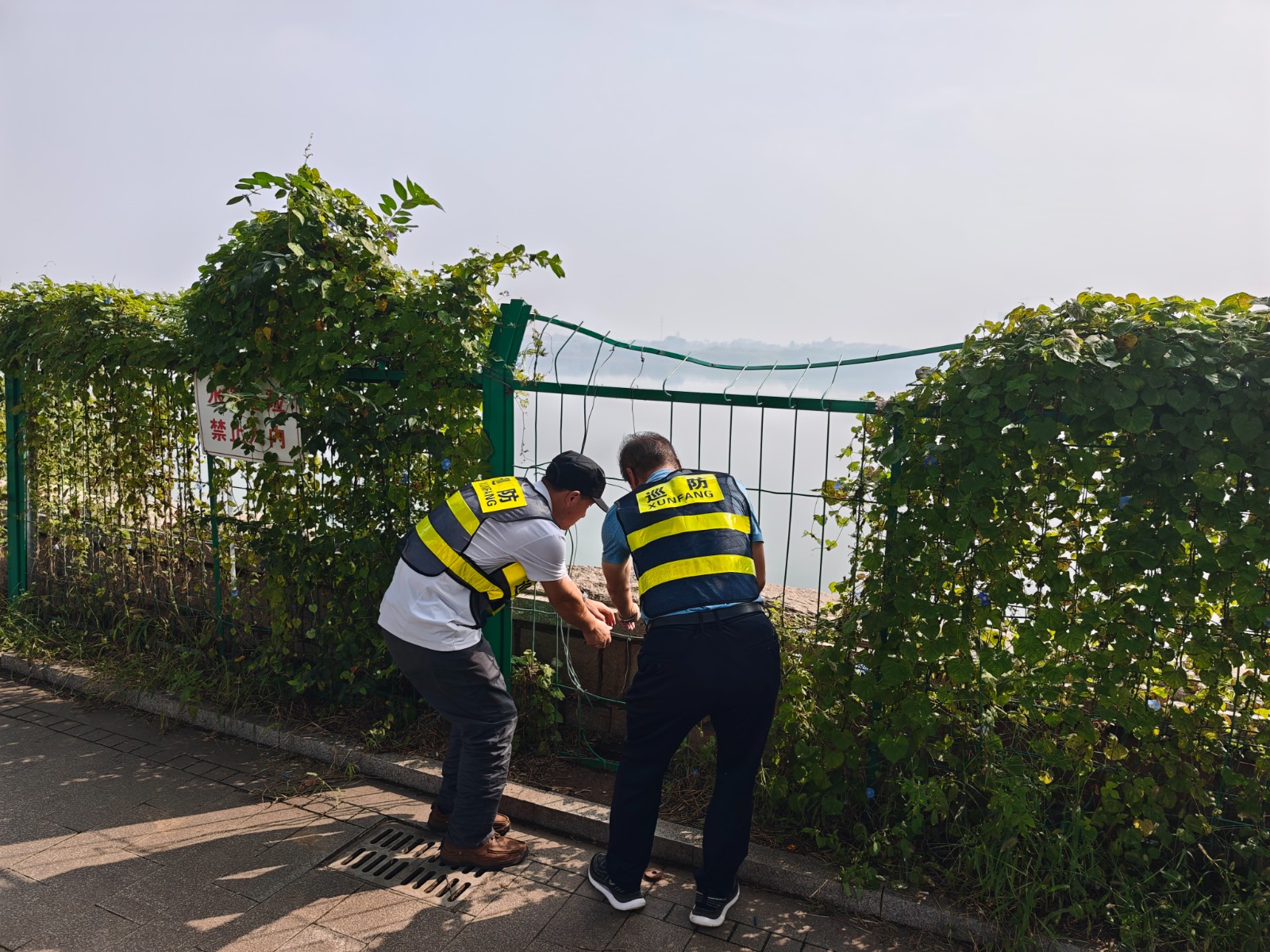 528a5d327d4508ed65cef8d2d28b6c0