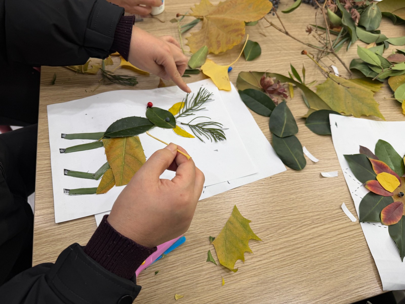 2025_12_11_15_15_IMG_2527