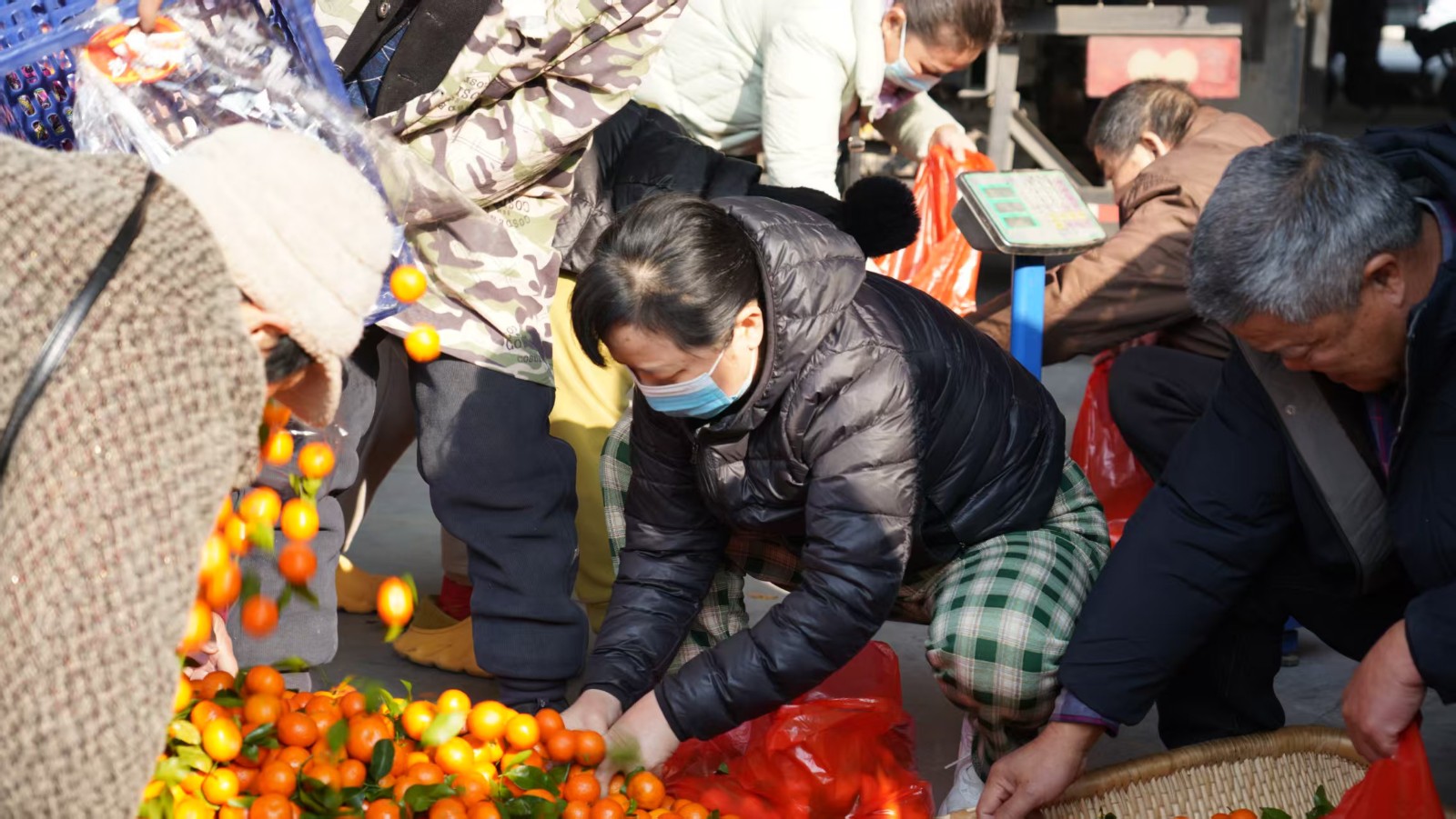 3c306f9ecc3a5b54cb0896ed1a2815c8