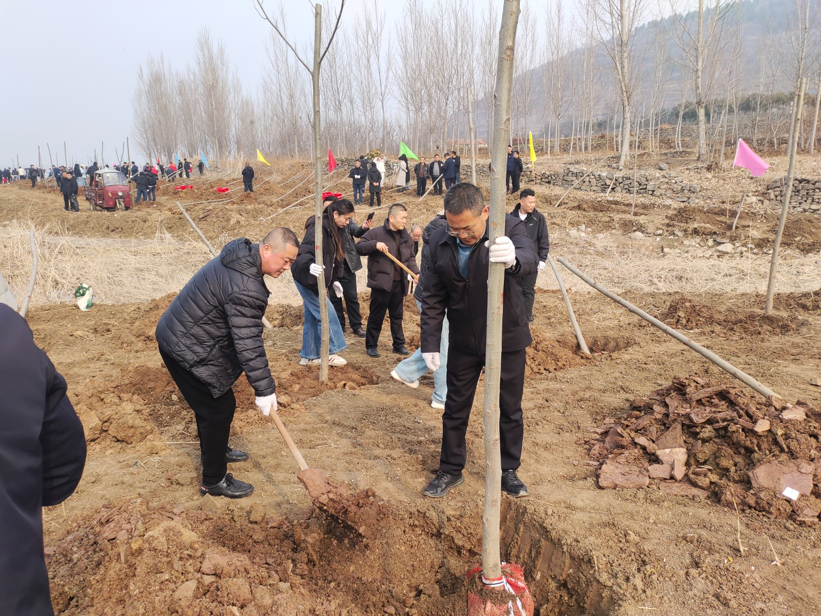 d819cd0459aefd47dc22757a7eadb319