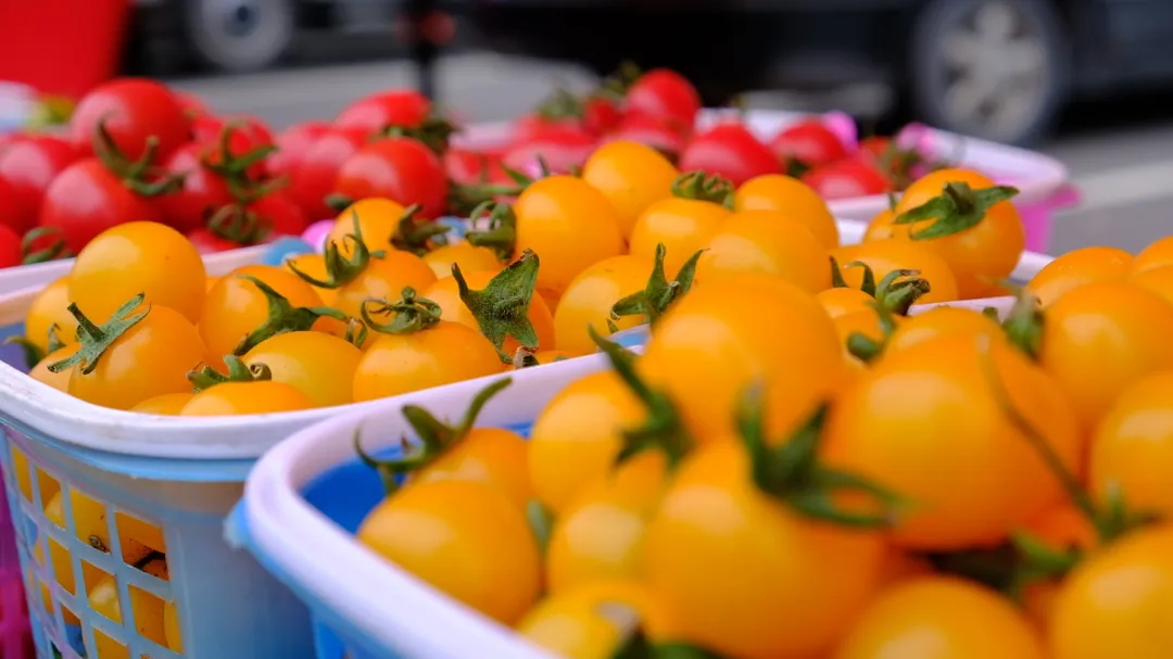 4月3日 (1)(22).jpg