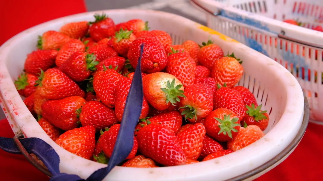 4月3日 (1)(21).jpg