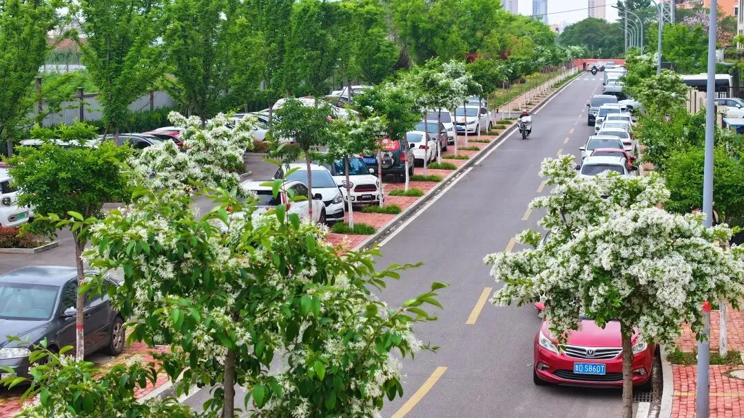 花5.jpg