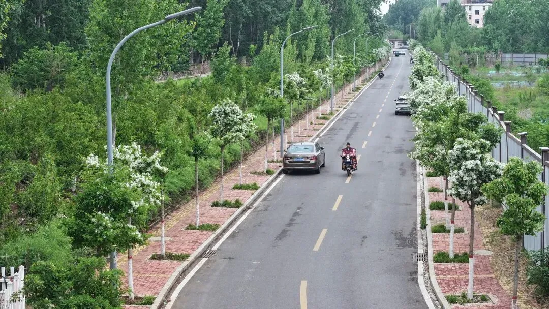 花6.jpg