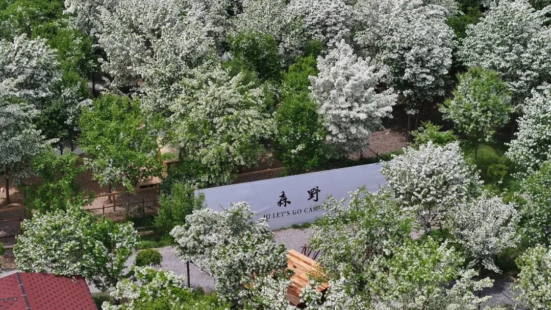 花7.jpg