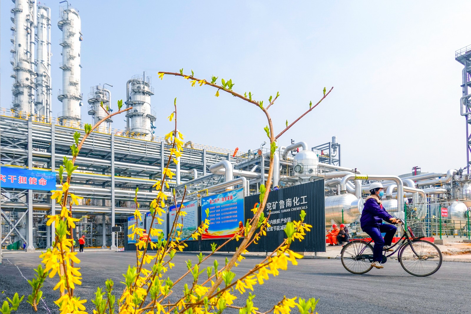 Yingchun Flower at the Spring Flower of the integrated project of the Lunan Chemical Industry Integrated Project in Yanjin Energy