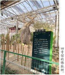 QQ截图20250417092806
