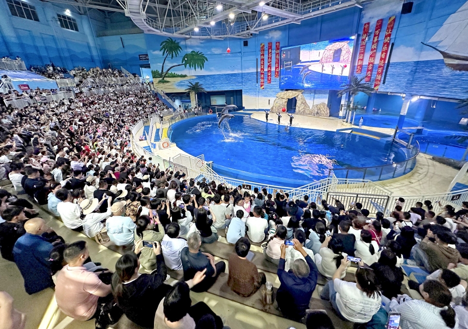 微信截图_20250507082629