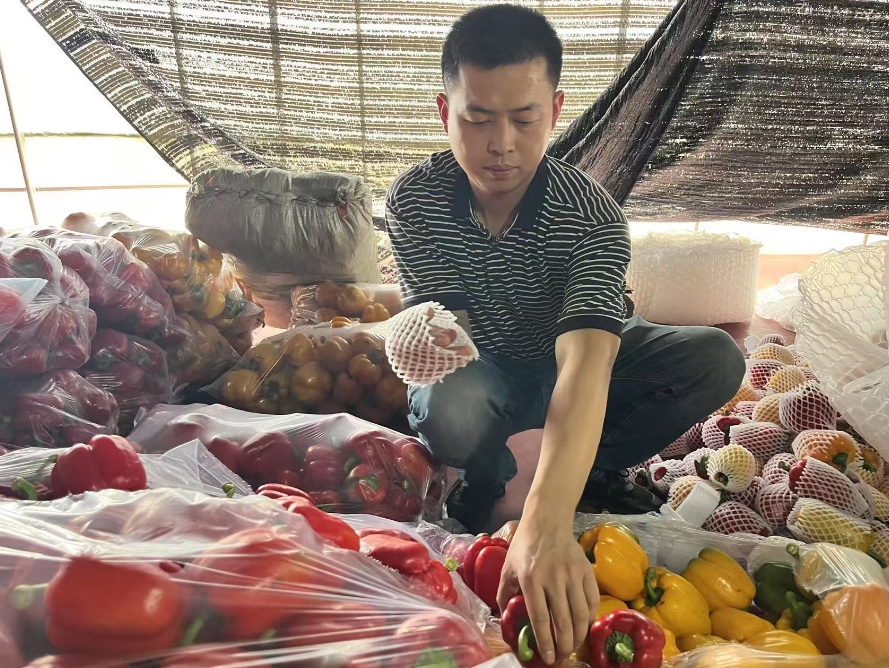 微信截图_20250514170241