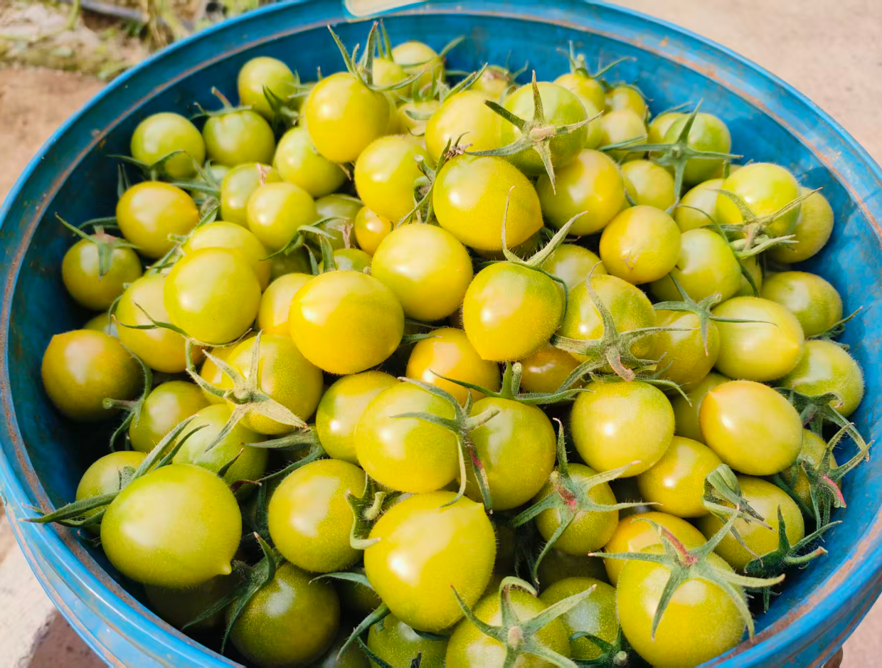 ScreenShot_2025-12-10_152405_818