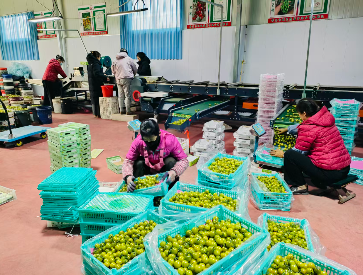 ScreenShot_2025-12-10_152416_595